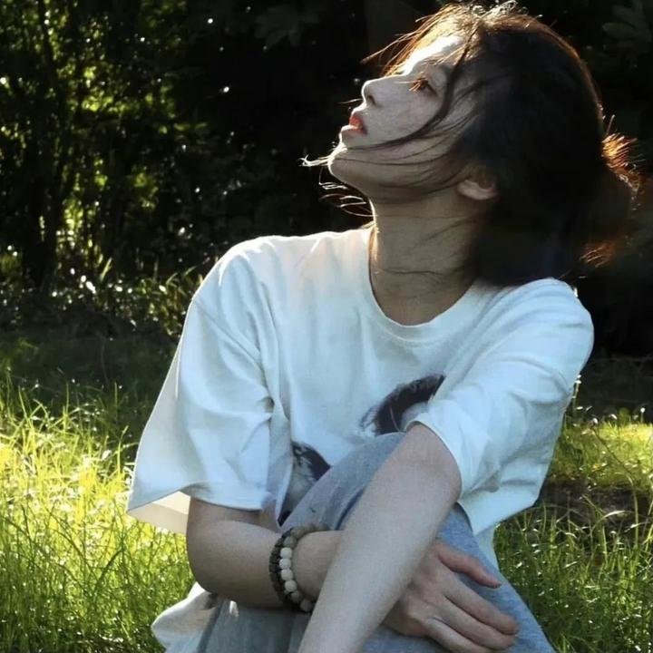 完美星球