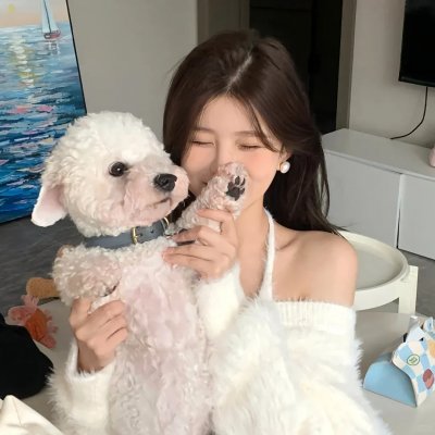 狸想世界